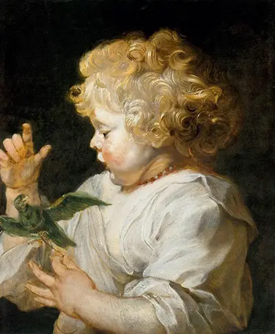 Boy with Bird Peter Paul Rubens